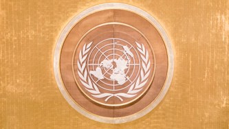 United Nations emblem with world map surrounded by olive branches on bronze circular background