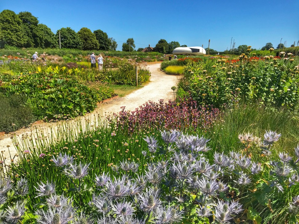 Diverse garden with winding path through colorful perennial plantings and ornamental grasses under blue sky