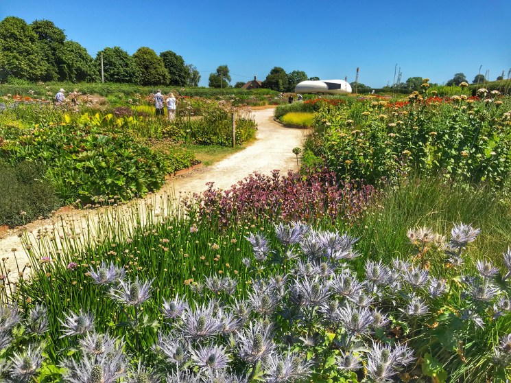 Diverse garden with winding path through colorful perennial plantings and ornamental grasses under blue sky