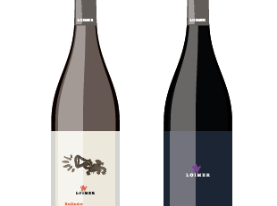 Two wine bottles from Austrian winery with white and dark labels against plain background