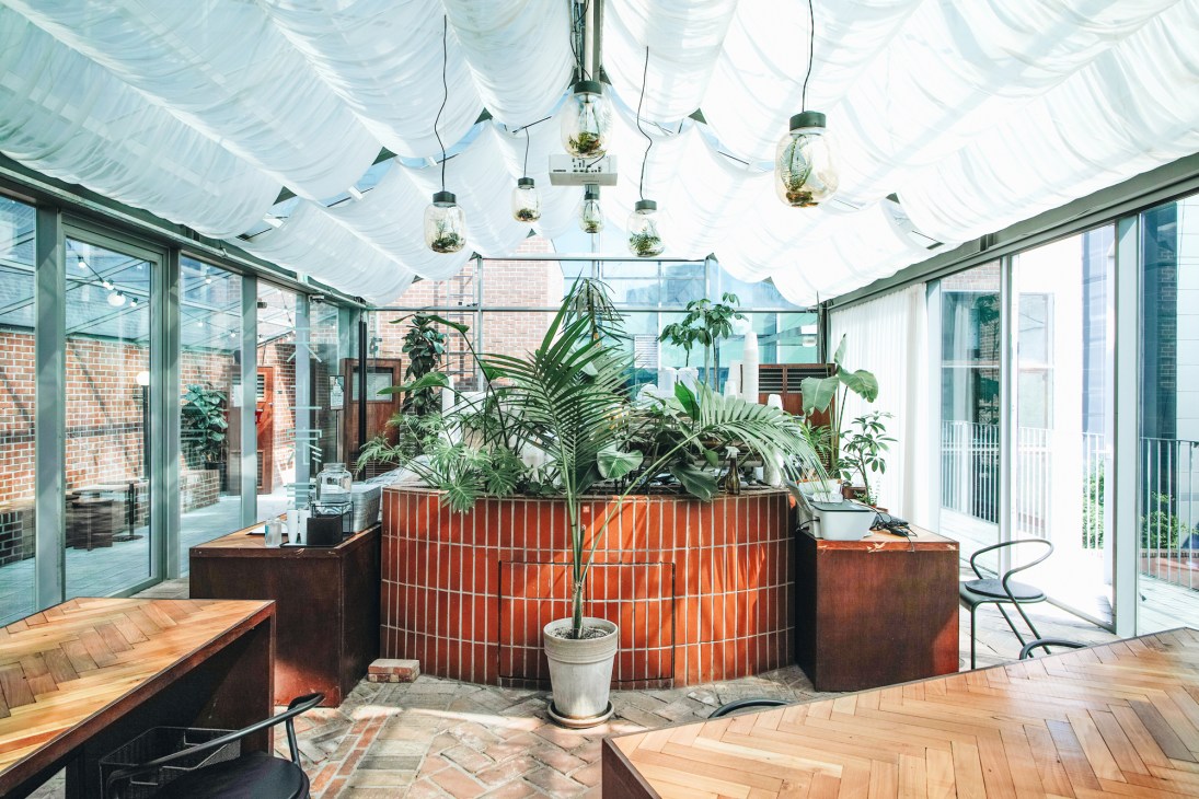Rooftop café with glass ceiling, hanging plants, red planter boxes, and brick buildings visible through windows.