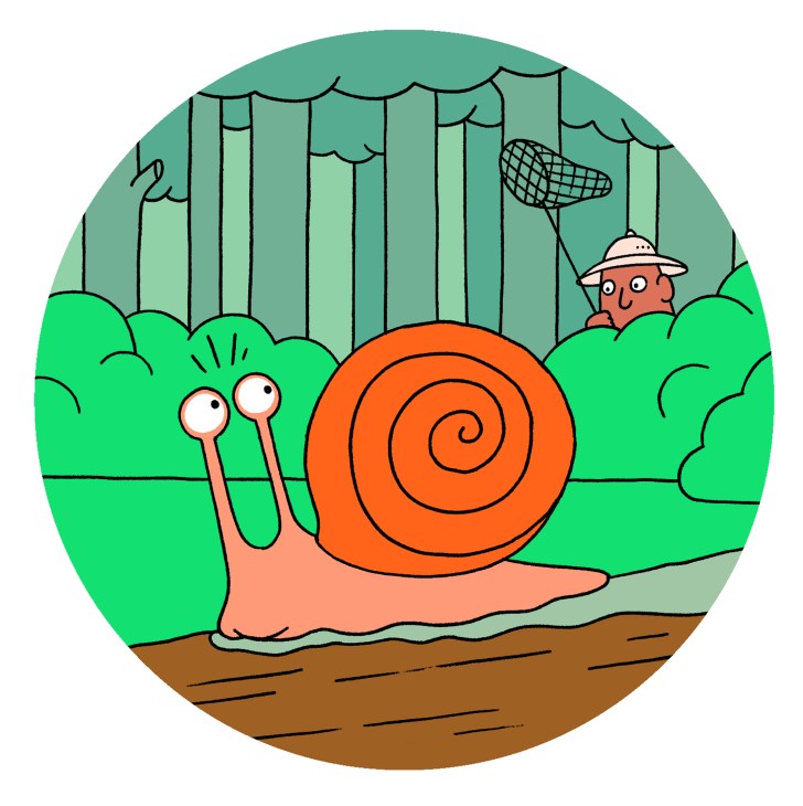 Cartoon illustration of an orange snail in a rainy forest with a person holding a net in the background