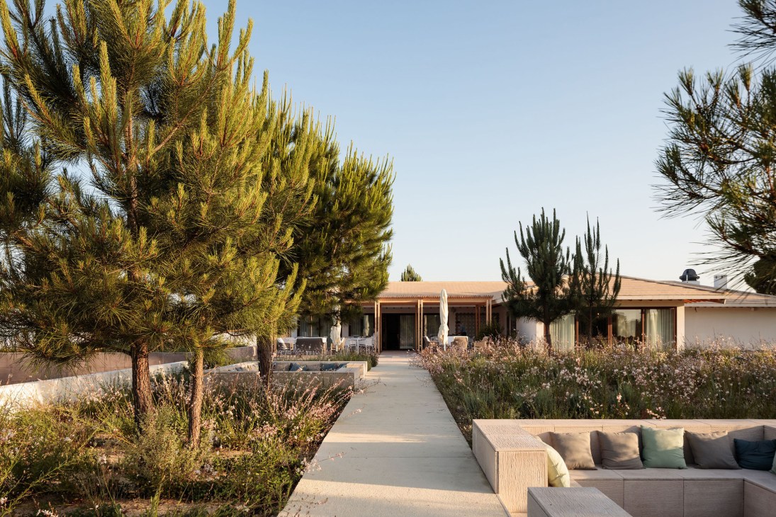 Modern concrete walkway leading to low-rise buildings surrounded by pine trees and Mediterranean landscaping