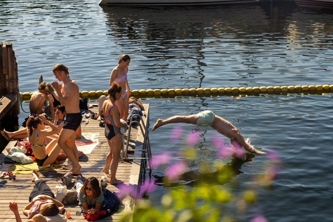 People swimming and sunbathing at a wooden dock by a harbor on a sunny day.