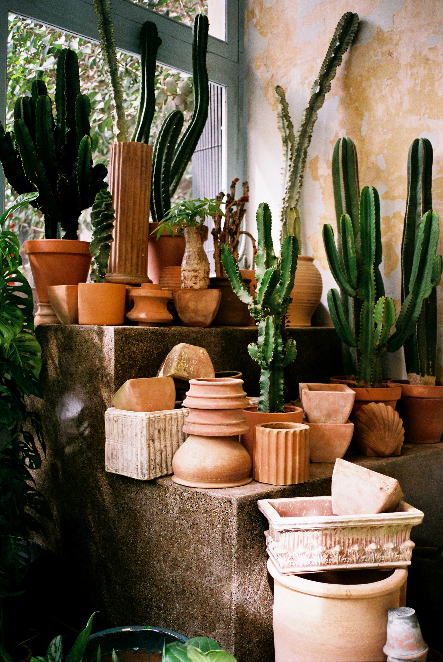 Cactuses and clay pots for sale at Kopria in Athens.