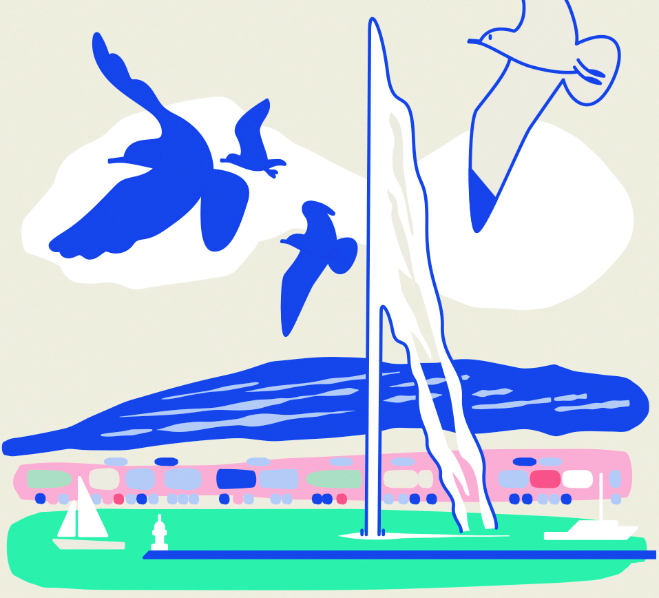 An illustration of seagulls flying.