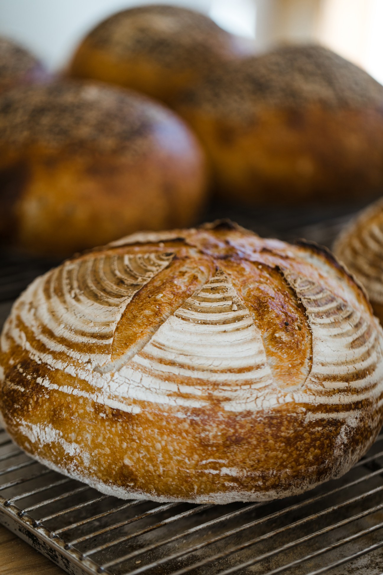 Artisanal sourdough bread loaves cooling on wire racks at The Accidental Baker