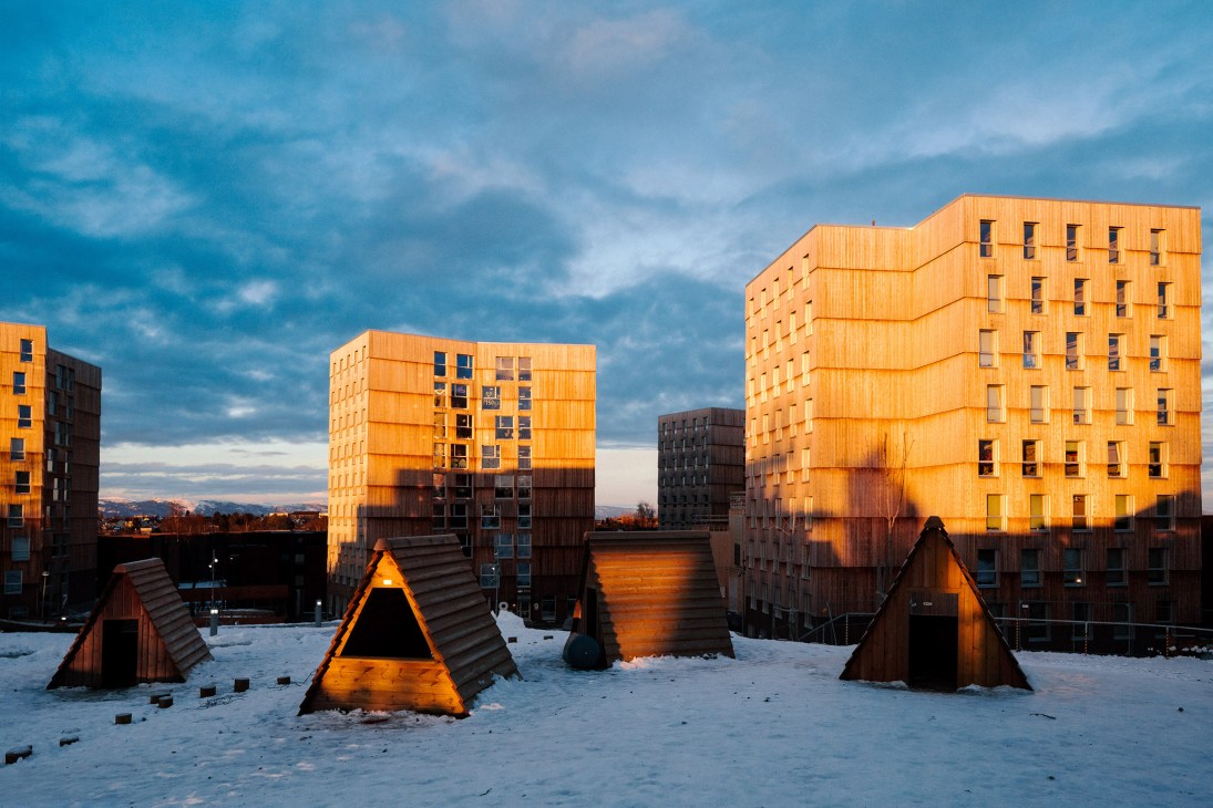Five timber tower buildings with golden-hued wooden facades at dusk, with small wooden play structures in foreground and mountains in background.