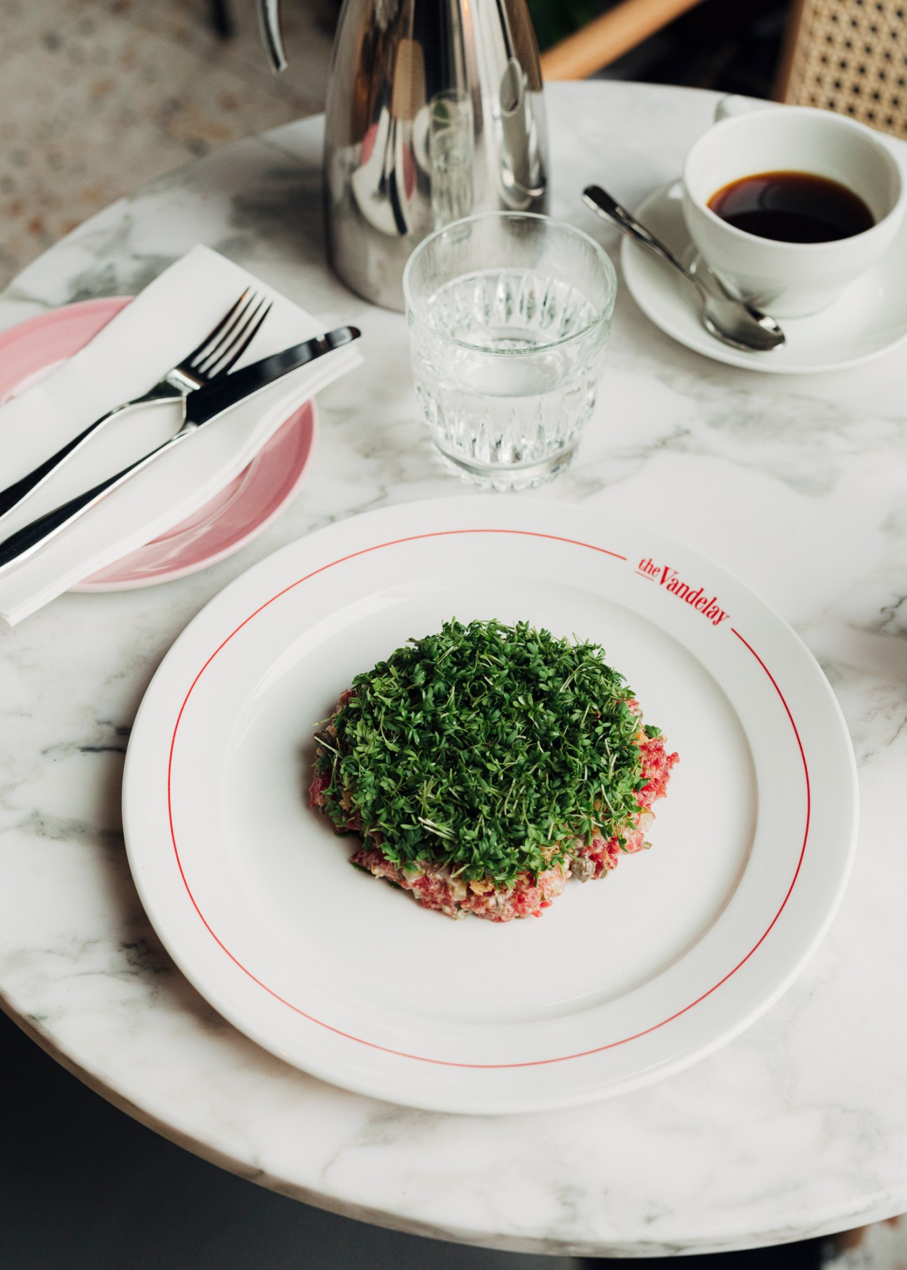 Beef tartare with herbs and microgreens plated on white dish with red rim at The Vandelay restaurant