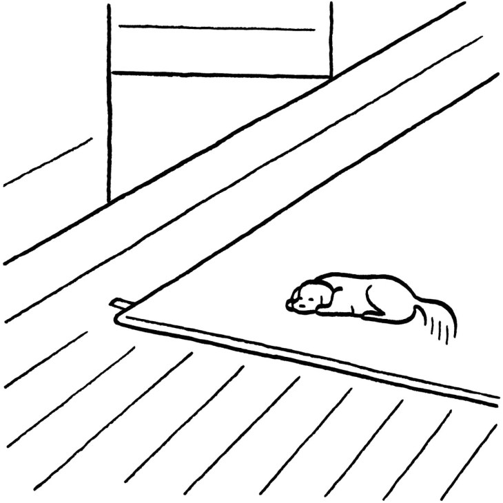 Line drawing of a dog resting on a slanted floor beneath a window with diagonal light rays