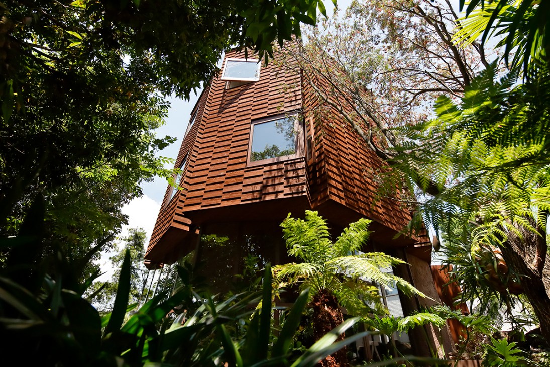 Todoroki House with timber-clad upper levels surrounded by lush tropical vegetation and ferns