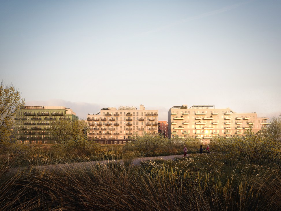 UN17 Village residential complex in Copenhagen with five sustainable apartment buildings beside a naturalistic garden with grasses and wildflowers.