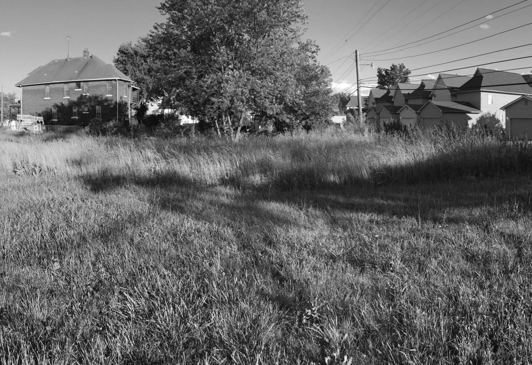 Empty urban lot with overgrown grass and debris scattered across the vacant land