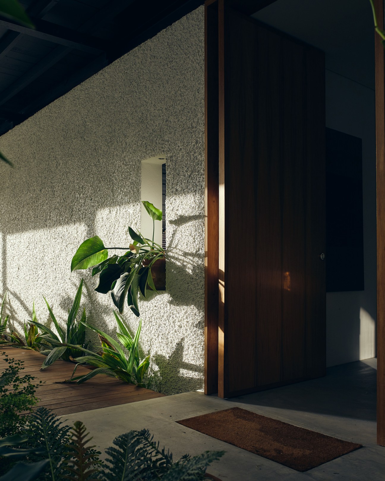 Modern home entrance with lush tropical plants, wooden decking and textured wall creating welcoming entryway