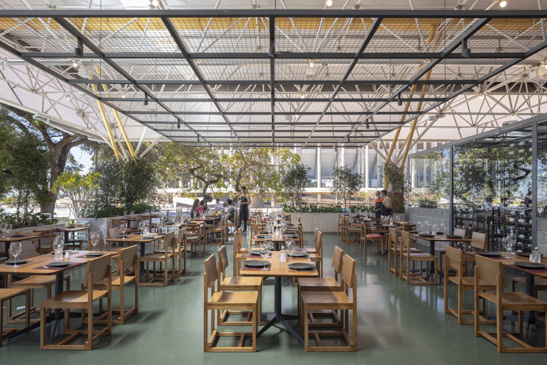 Interior of Mané Market restaurant with glass ceiling, wooden tables, planted areas and diners