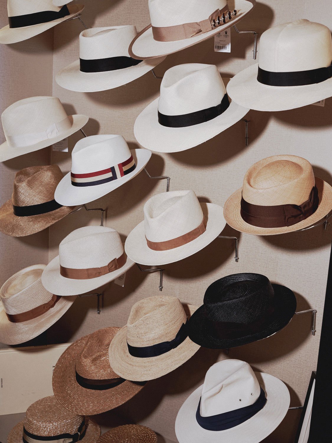Display of various classic hat styles including fedoras and panama hats with different colored bands