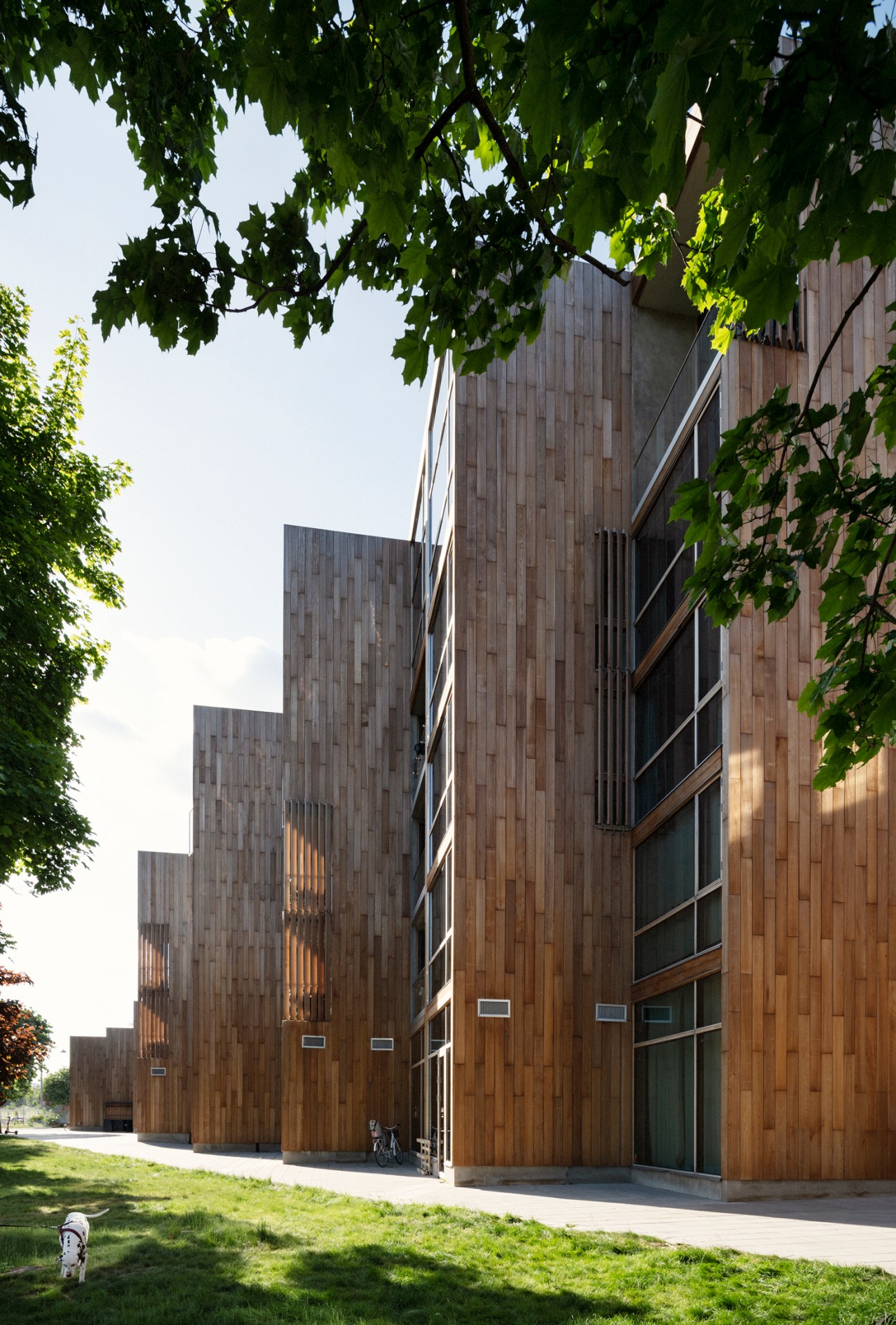 Cedar-wrapped 79&Park apartment building with stepped wooden facade and green foliage.