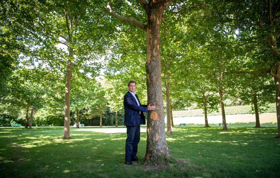 Man in dark suit embracing a large tree trunk in a park setting