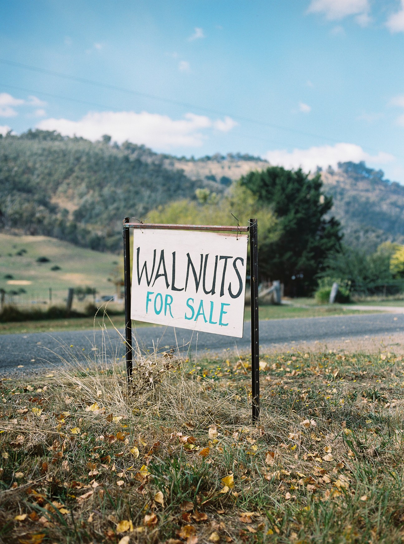 Roadside sign reading 'WALNUTS FOR SALE' positioned beside rural road with hills in background