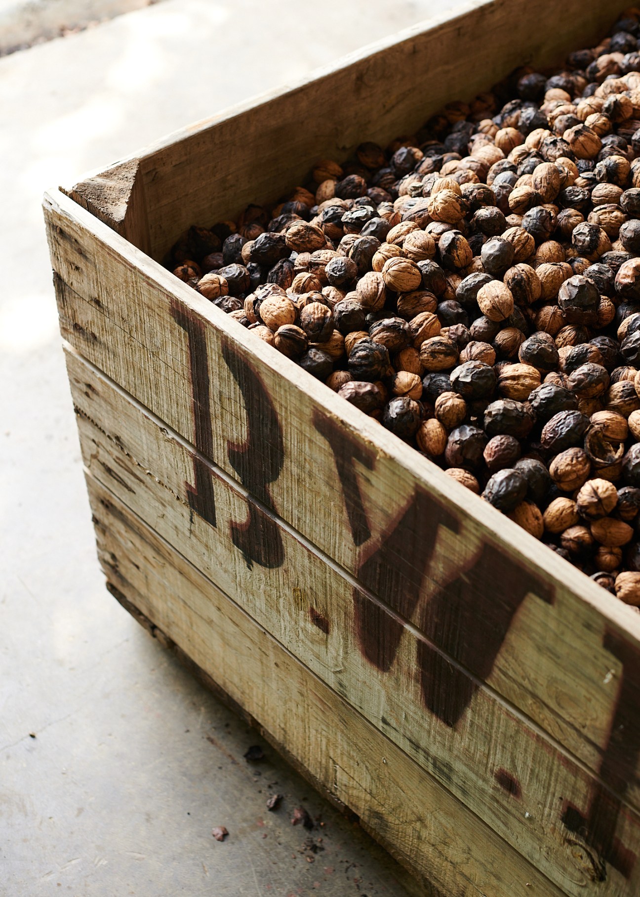 Freshly harvested walnuts in their shells filling a weathered wooden crate