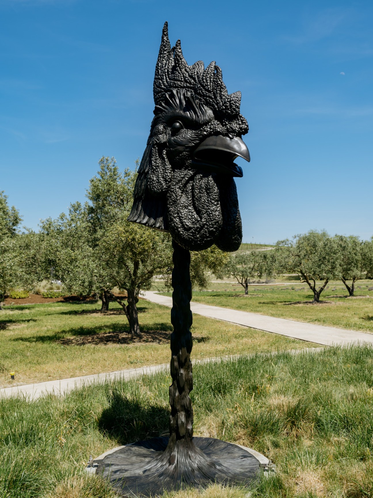 Black sculptural rooster head on tall stem in vineyard landscape with olive trees and blue sky