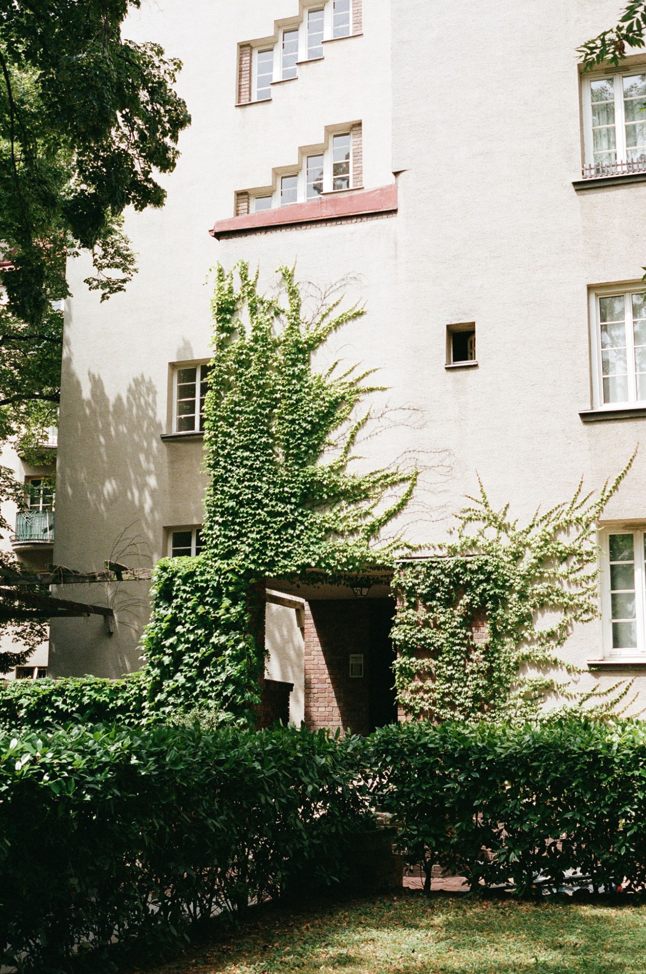 Green planted area with trees and shrubs at the Rabenhof housing complex