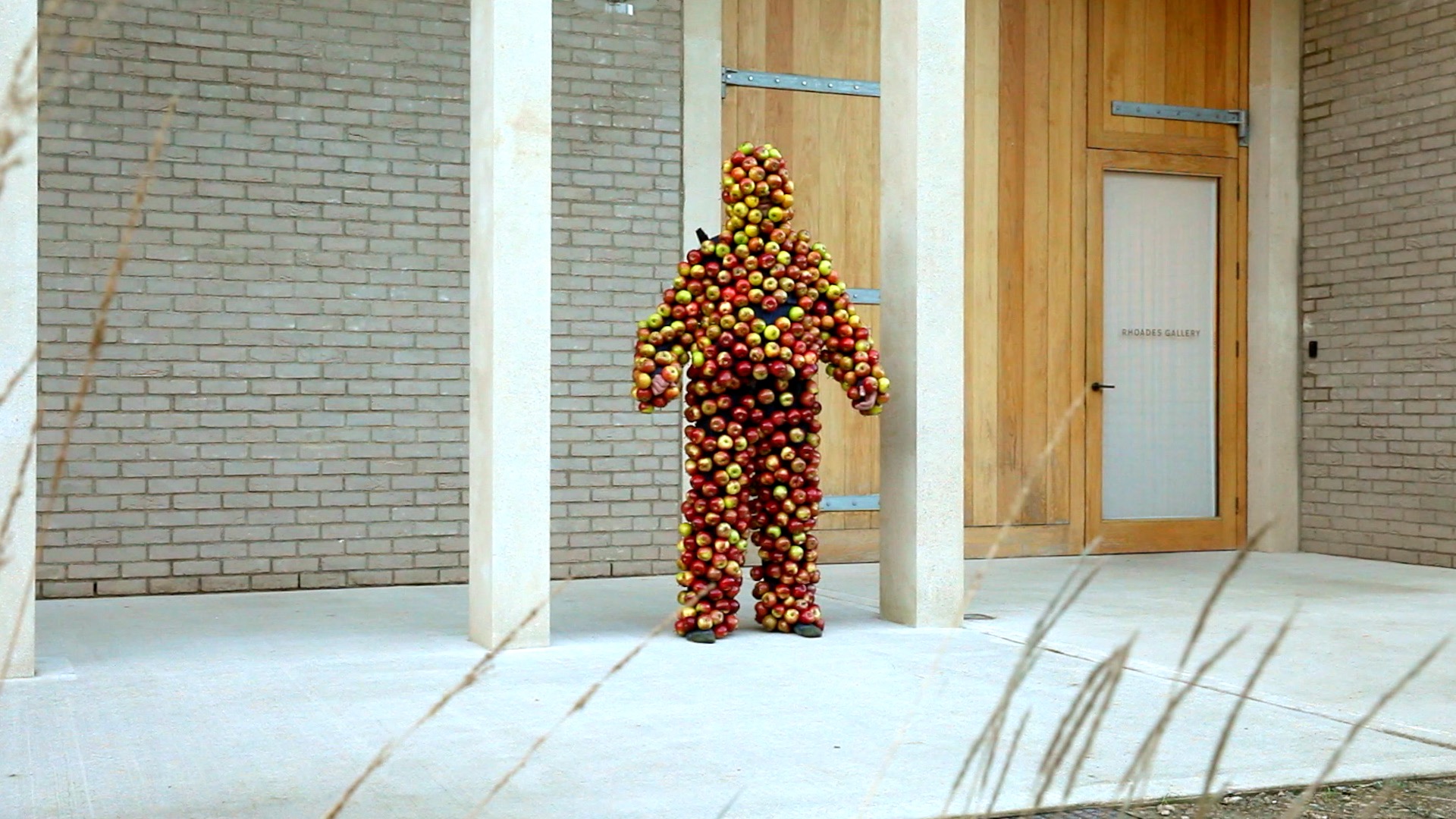 Man in an apple suit