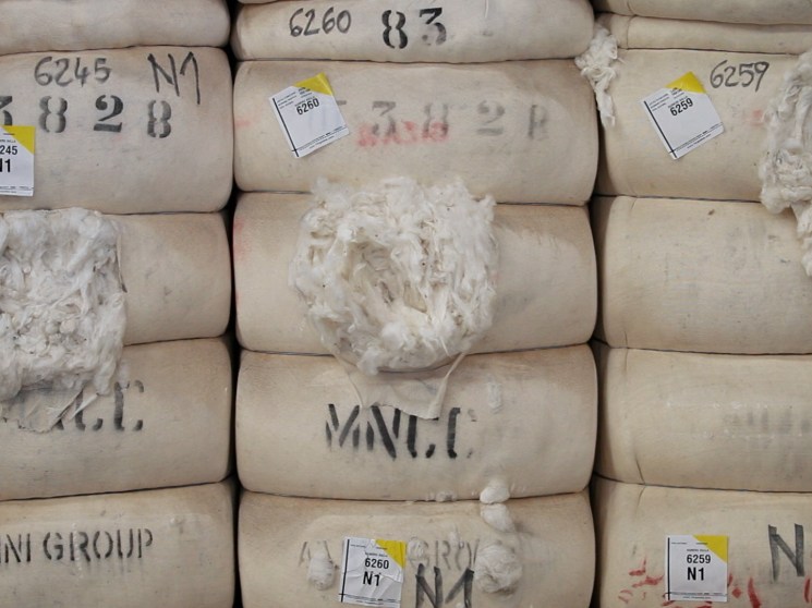 Bags with raw cotton.