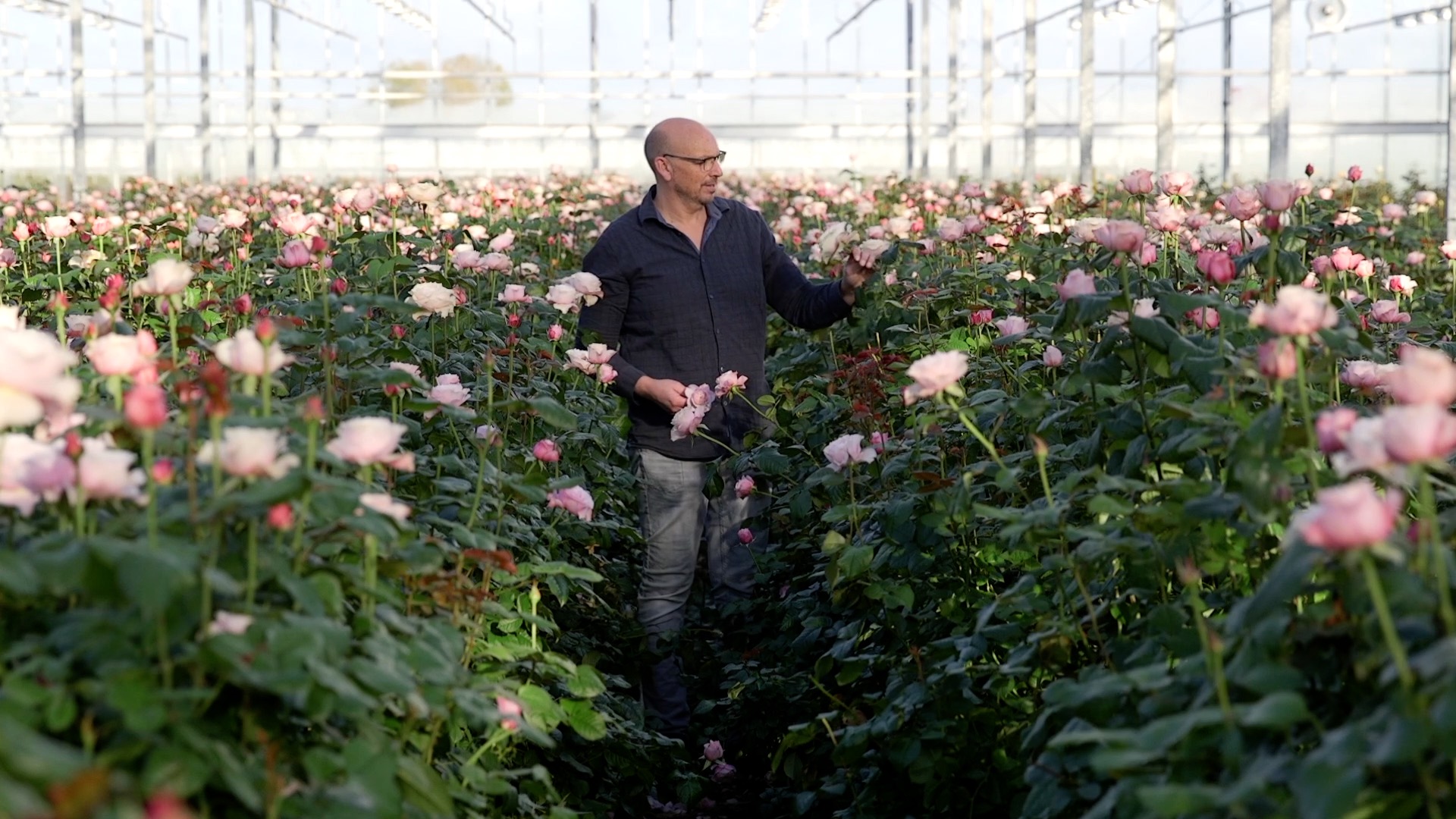 A grower in a green house