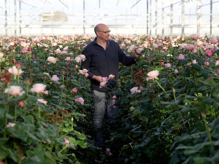 A grower in a green house