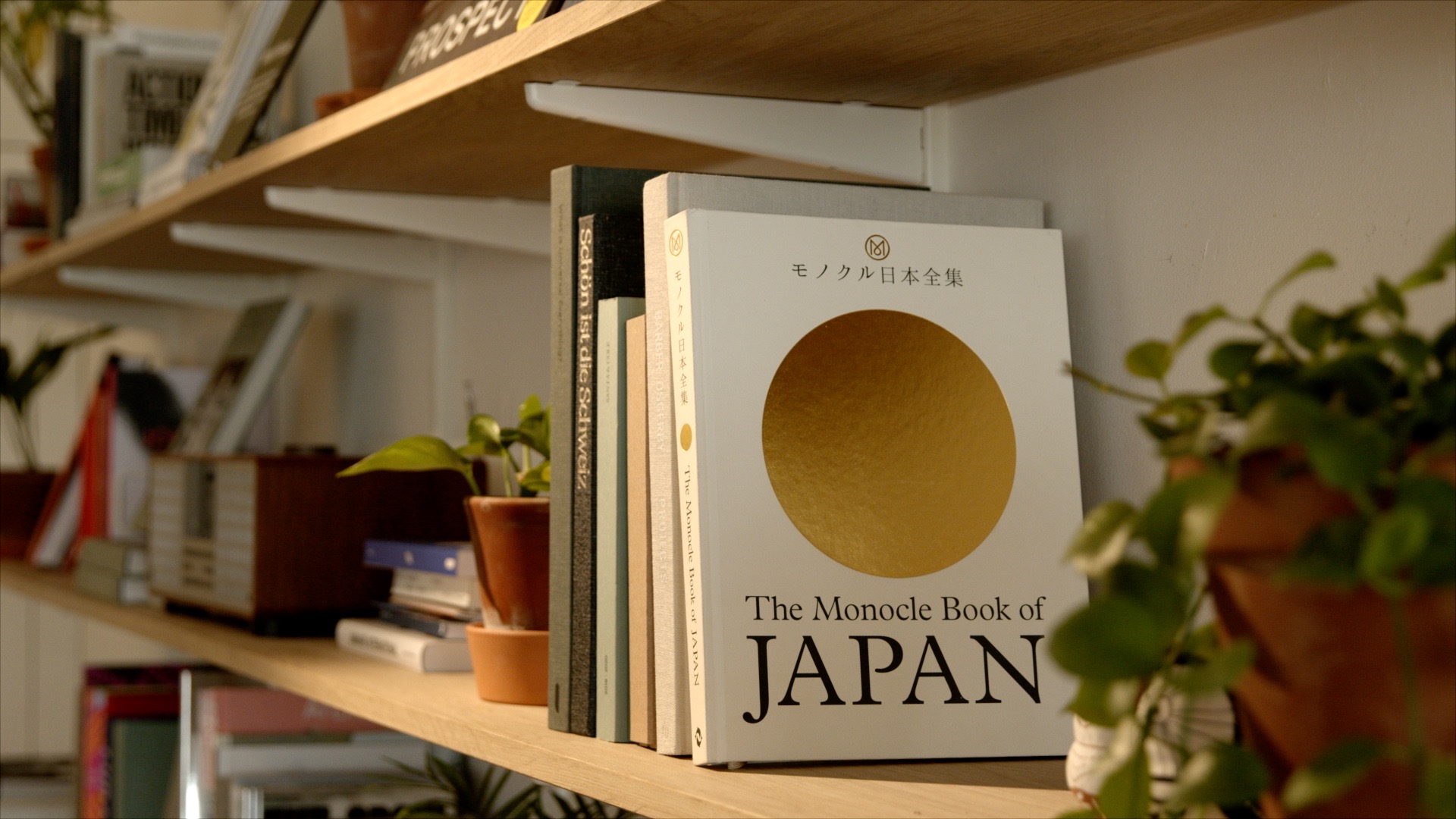 Book on the shelf