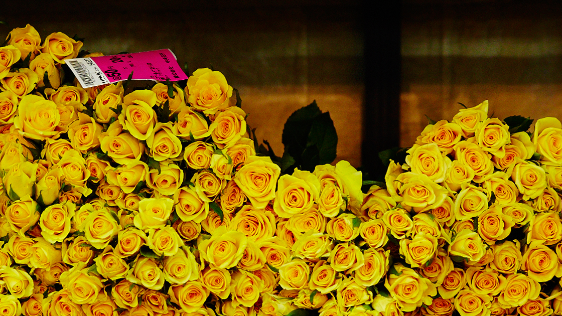 Yellow roses at a flower market.