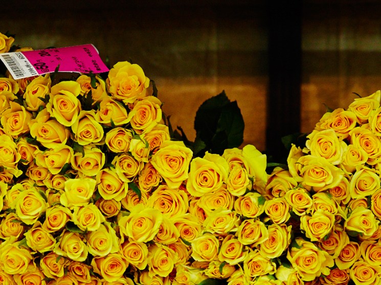 Yellow roses at a flower market.