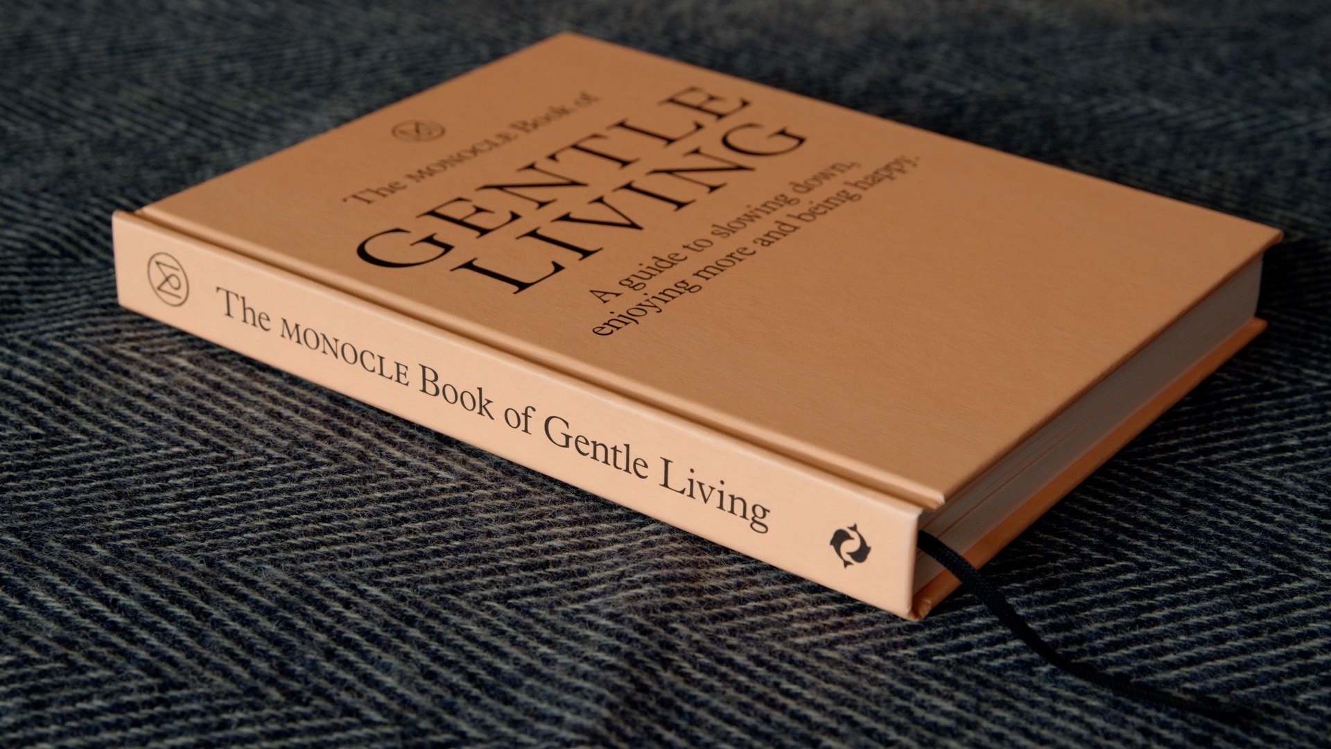 Book on a sofa