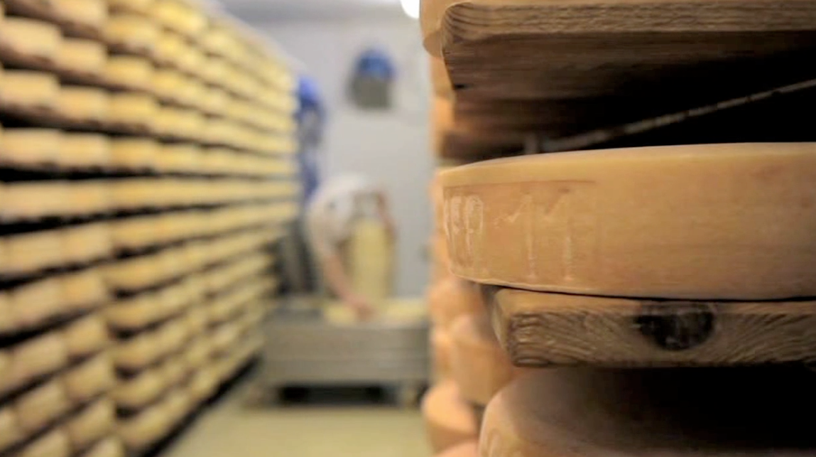 cheese storage