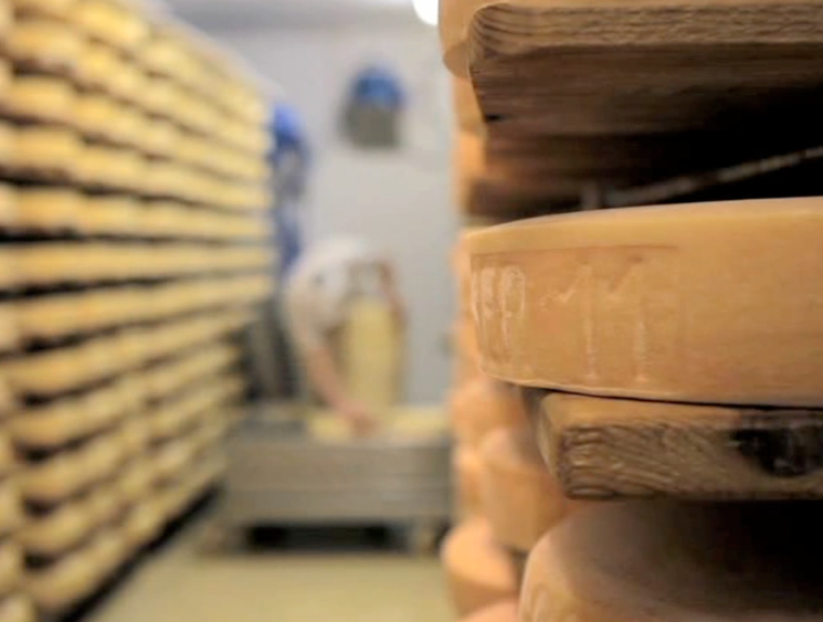 cheese storage