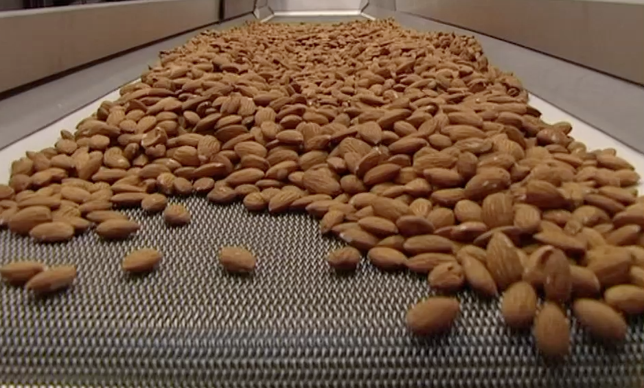 almonds on production line
