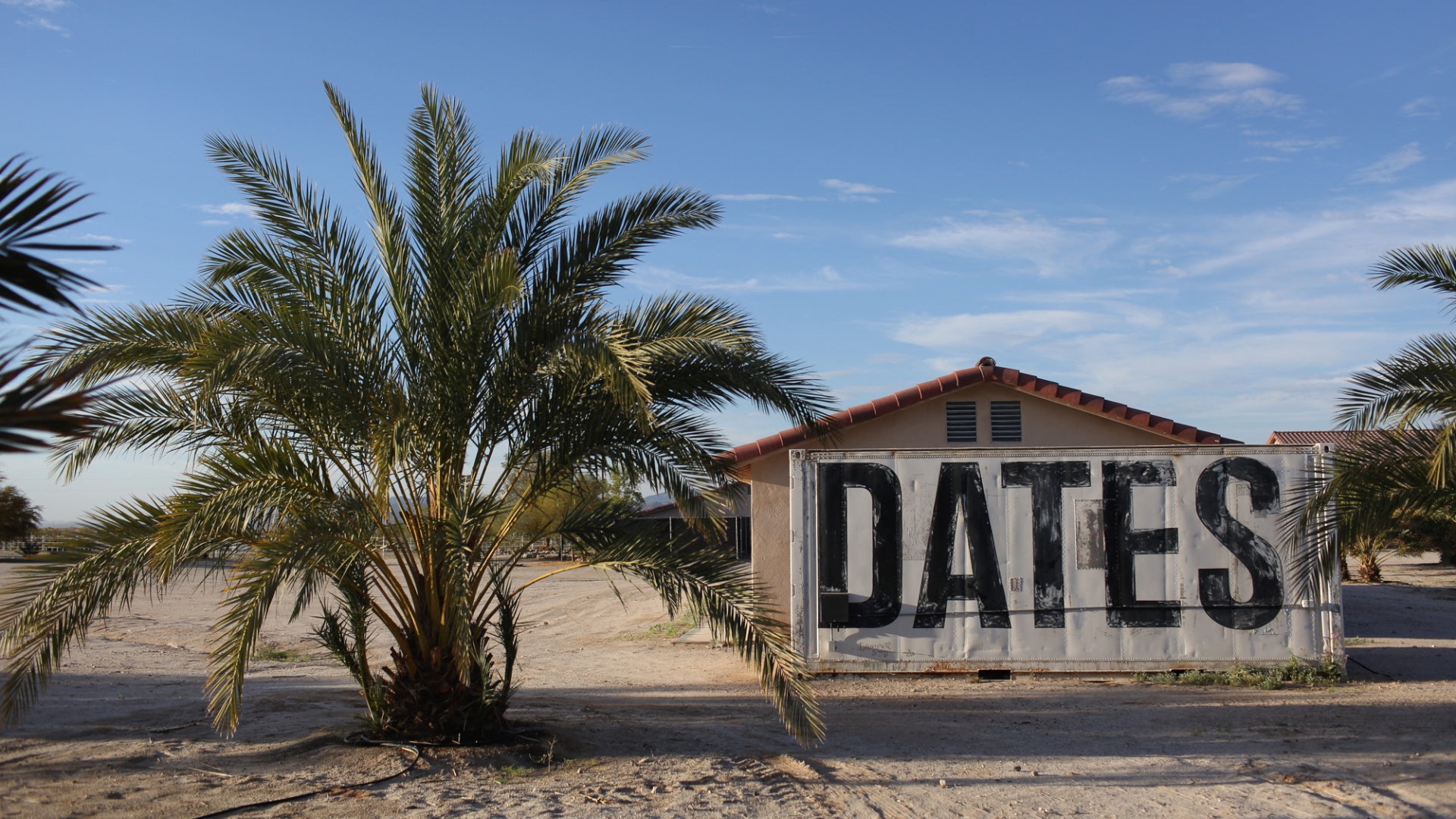 Date farm in Arizona.