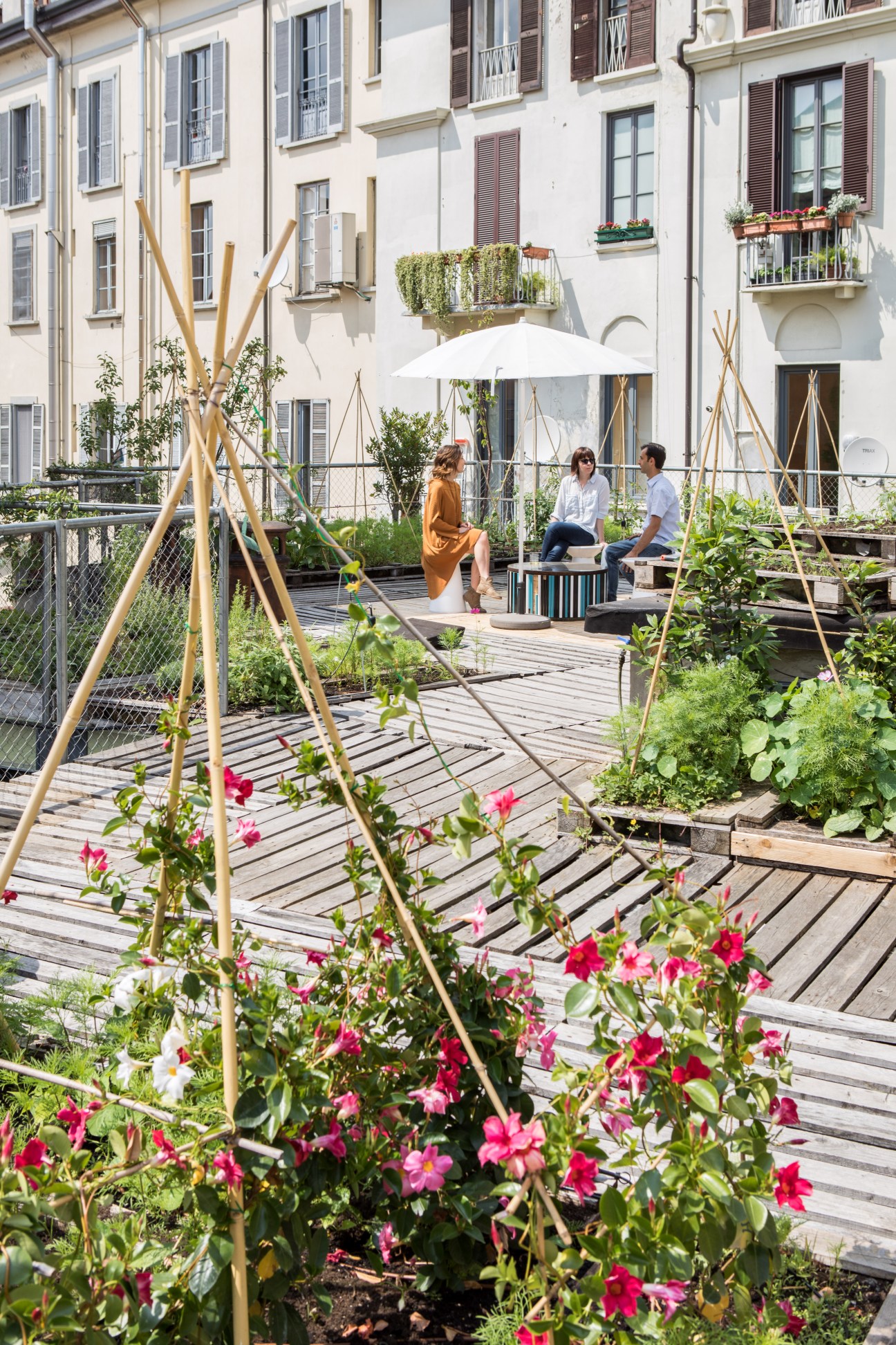 Piuarch's rooftop garden with flowering plants, wooden trellises, and people seated in the background near a white umbrella.