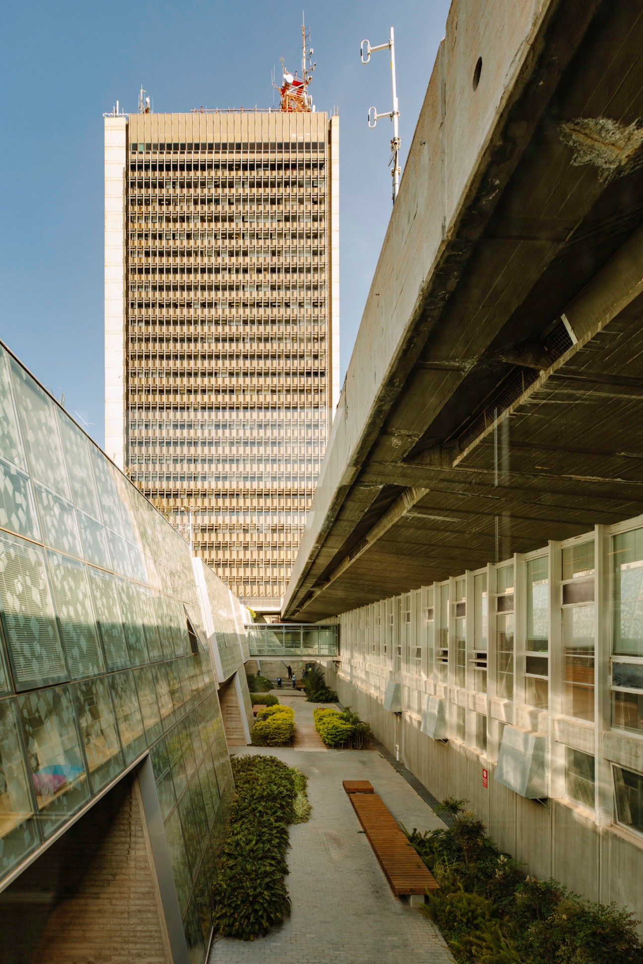 Brutalist tower with geometric concrete forms rises above modernist campus walkway lined with shrubs.
