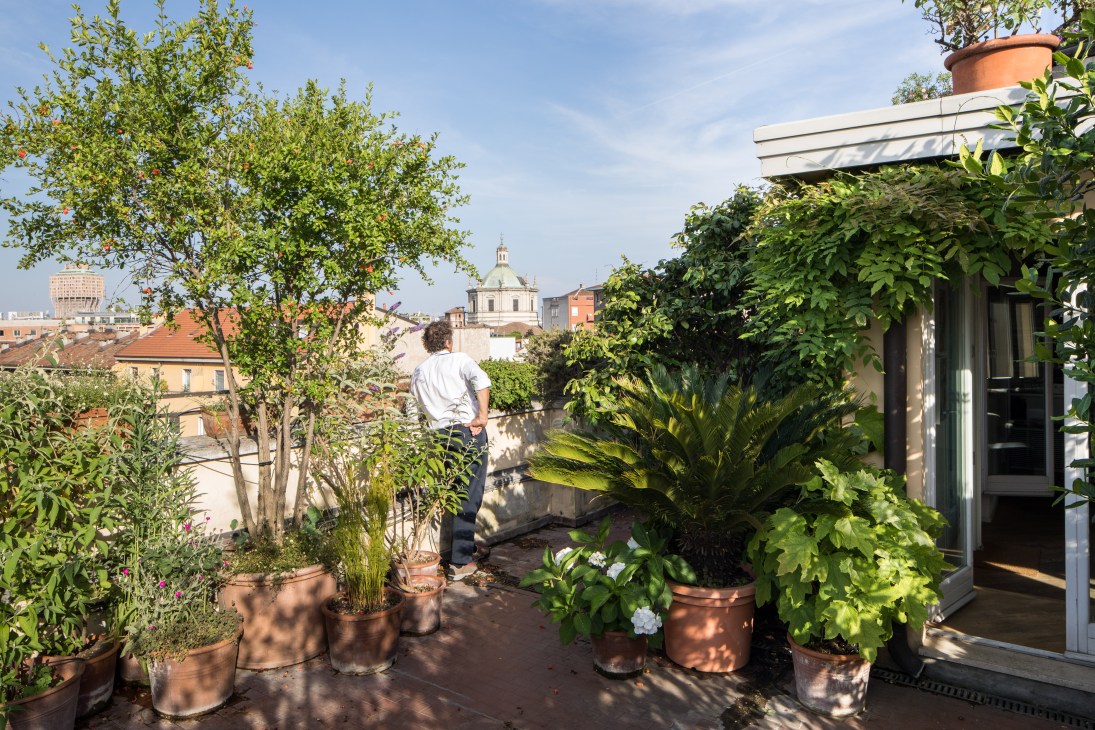 Gustavo Gandini surveys his Milan rooftop terrace filled with potted plants and flowers, overlooking the city skyline.