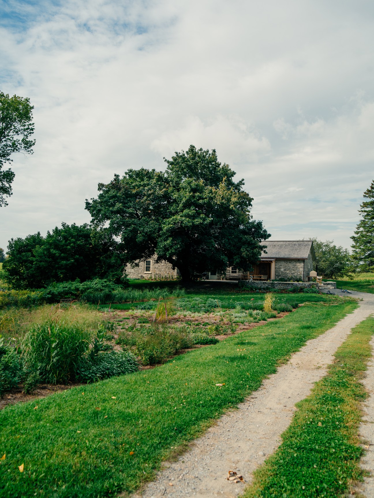 Stone farmhouse with dark roof surrounded by large trees and green garden beds