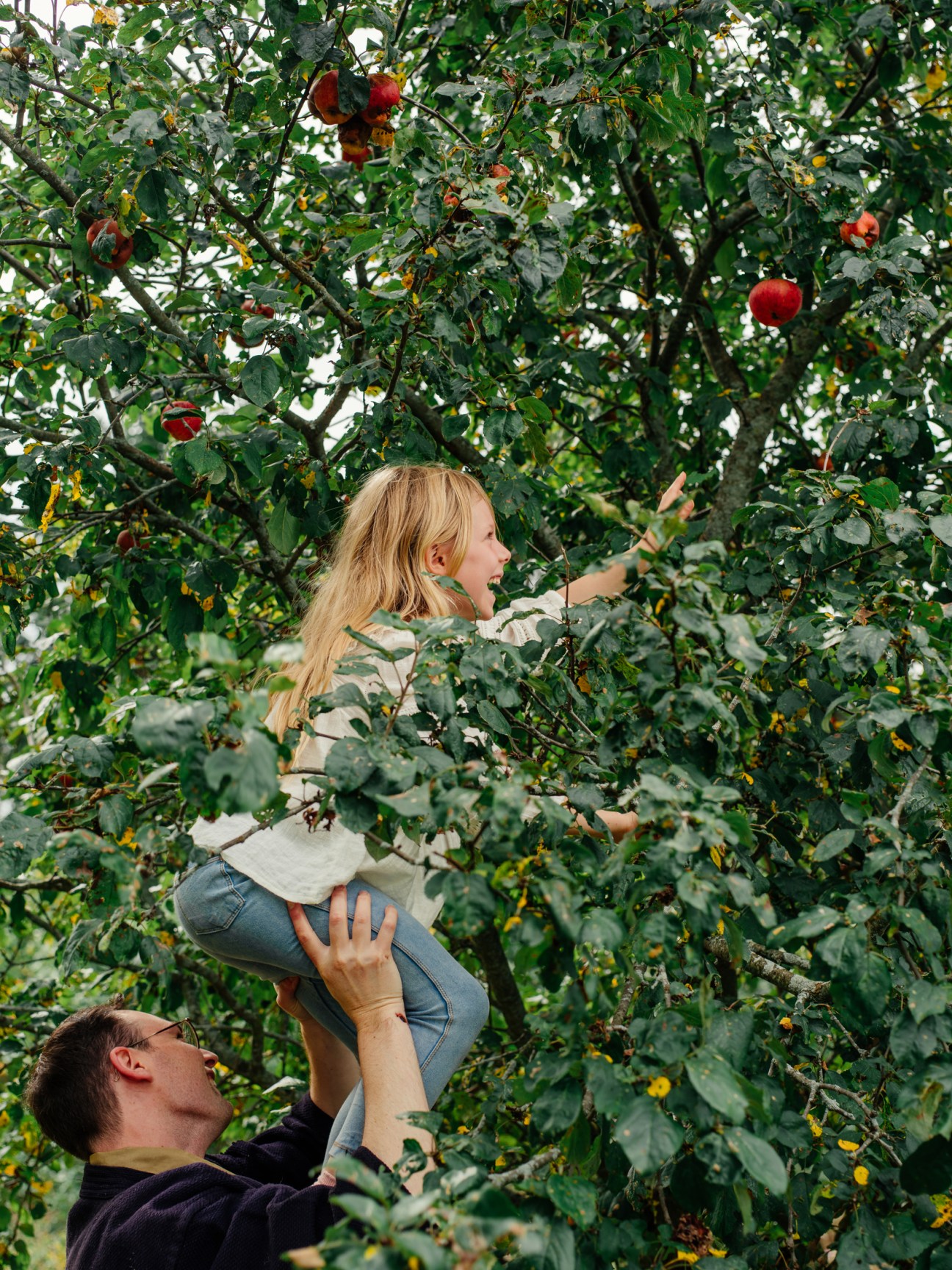 A blonde woman reaching up to pick apples from a tree while being lifted by a man below her
