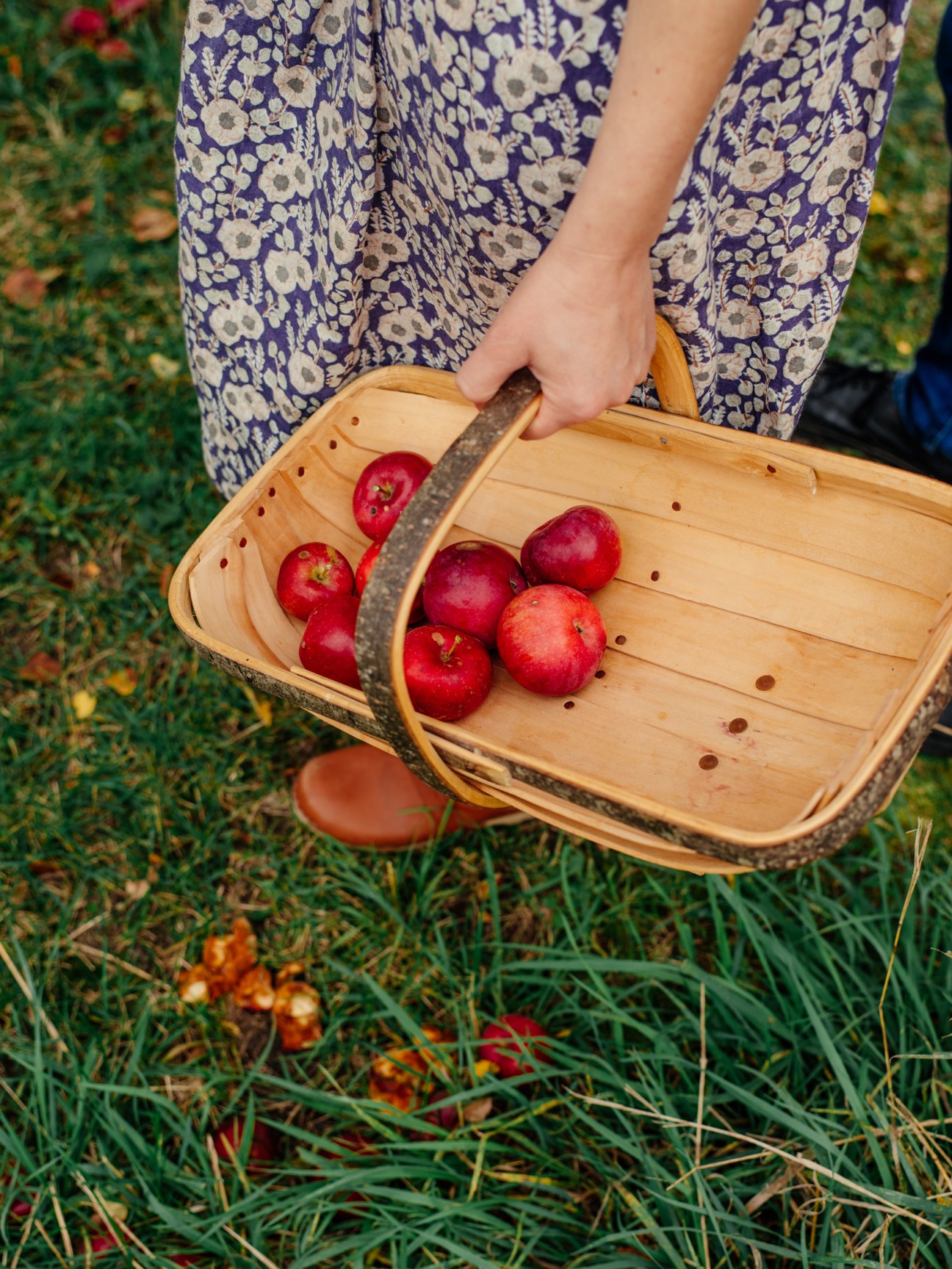 Person in floral dress carrying wooden basket filled with red apples outdoors