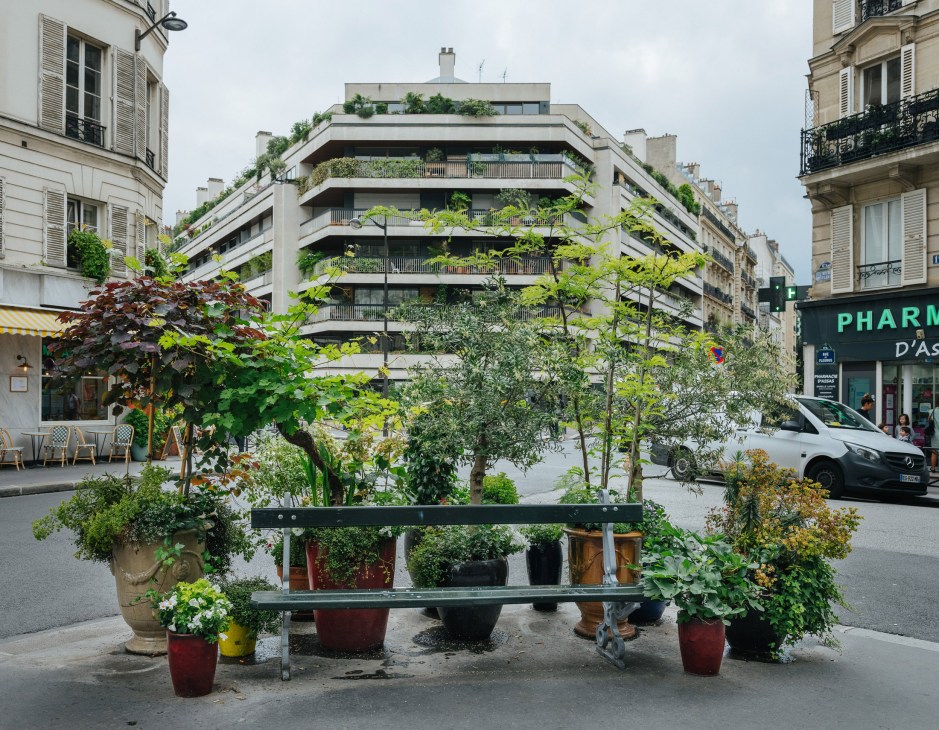 Potted plants and flowers arranged on a Paris street with a green-balconied apartment building in the background.