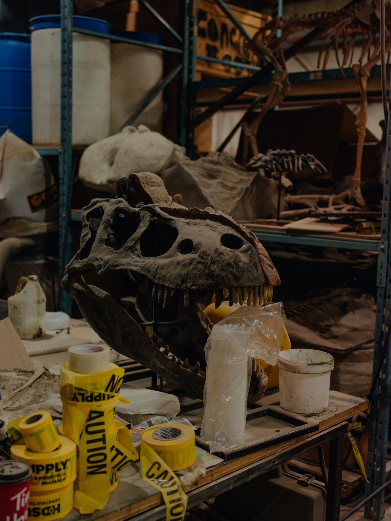 Albertosaurus skull fossil with open jaw on workshop shelf surrounded by restoration supplies and caution tape