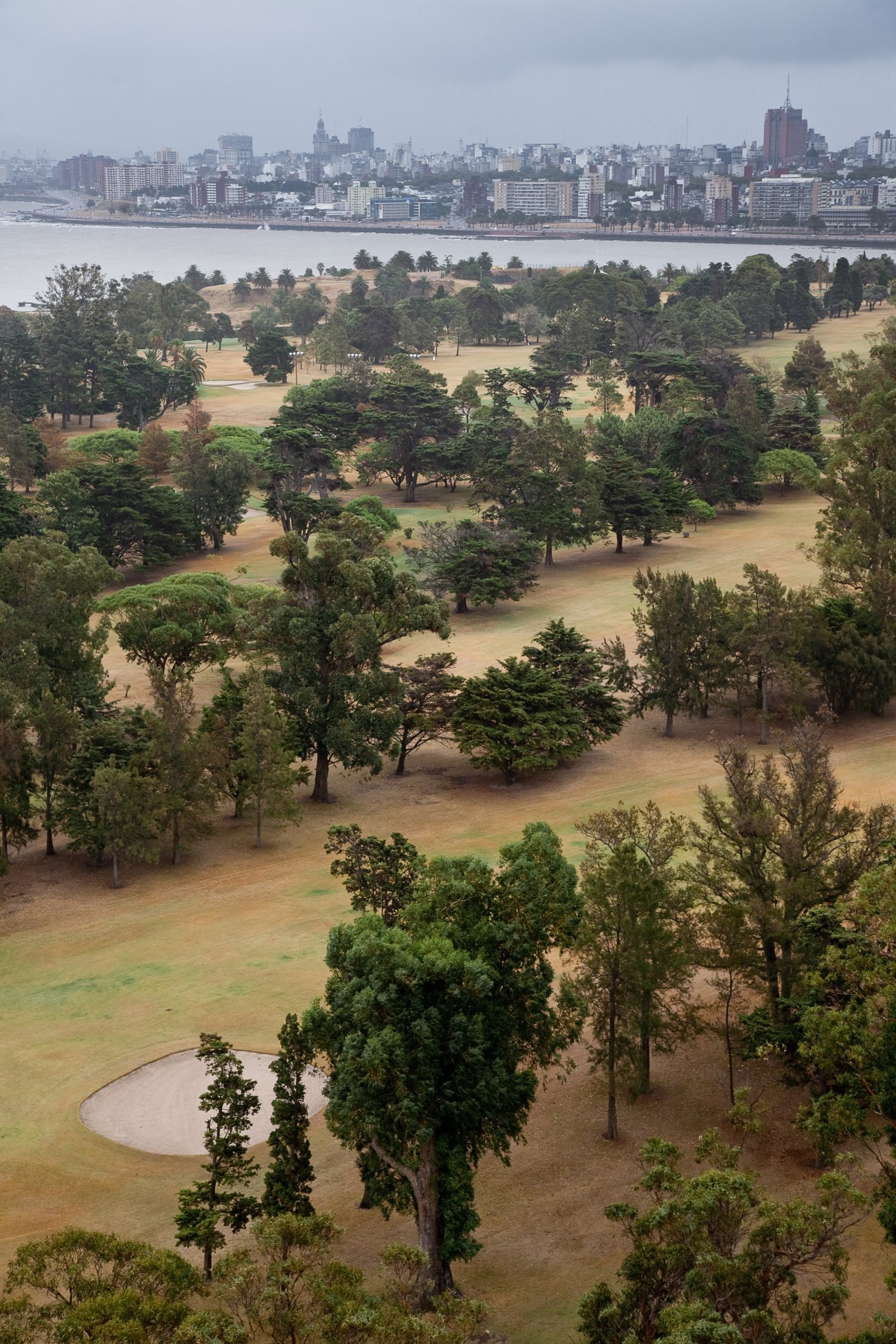 Montevideo golf course with scattered trees, manicured greens, and the city skyline visible across the water.