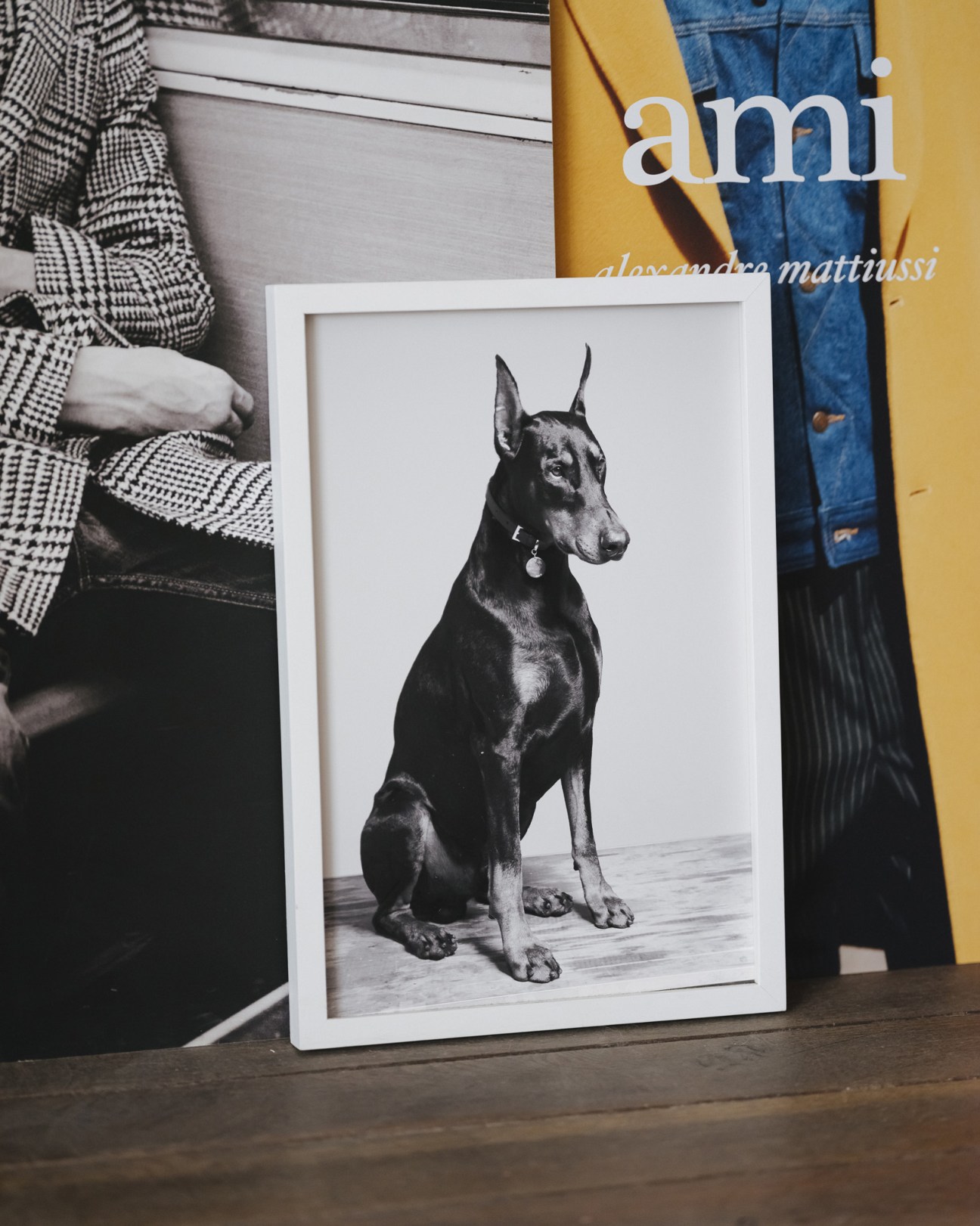 Framed black-and-white photograph of a seated dog displayed among colorful Ami clothing and brand materials.