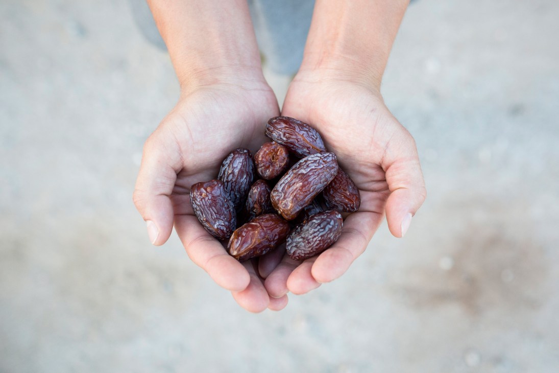 Two hands cradling a handful of dark brown medjool dates.