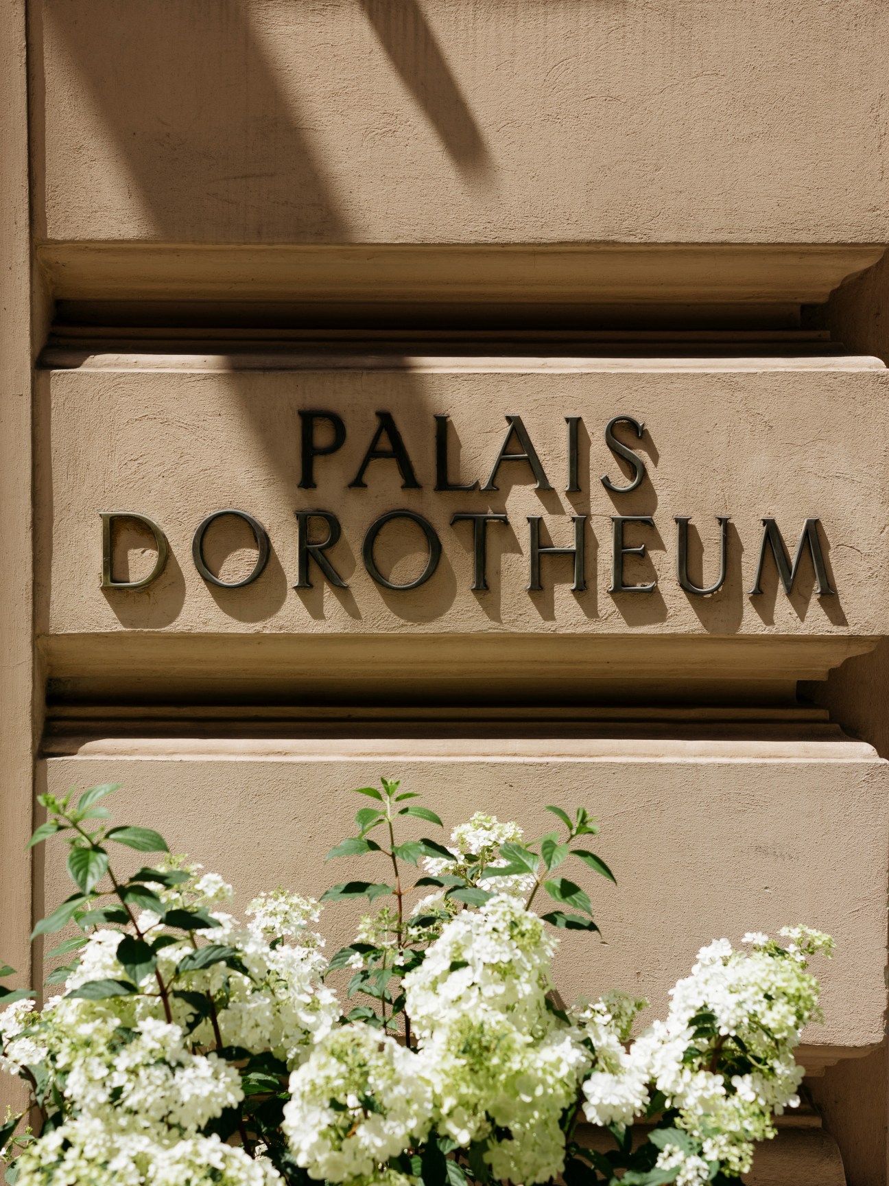 Stone building facade with carved 'PALAIS DOROTHEUM' text above white flowering hydrangea bushes